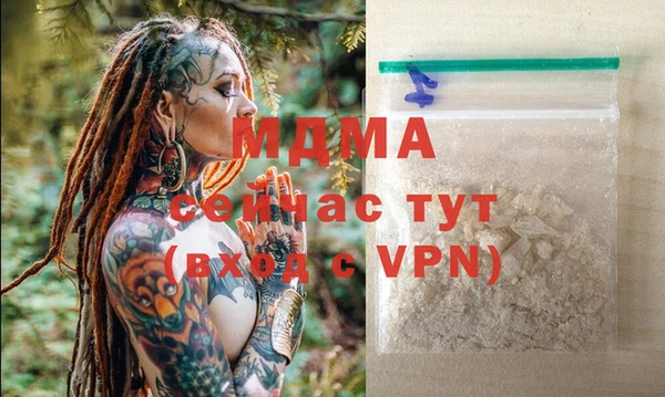 гашик Тайга
