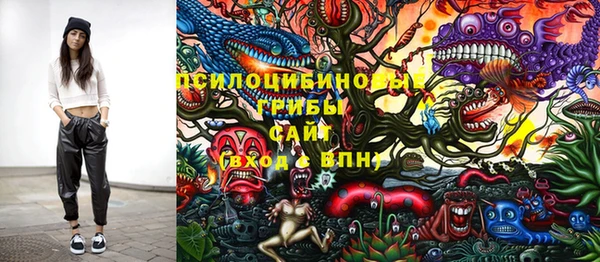 гидропоника Белоозёрский
