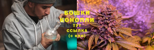 наркотики Белокуриха