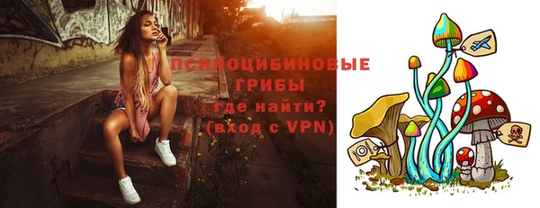 наркотики Белокуриха