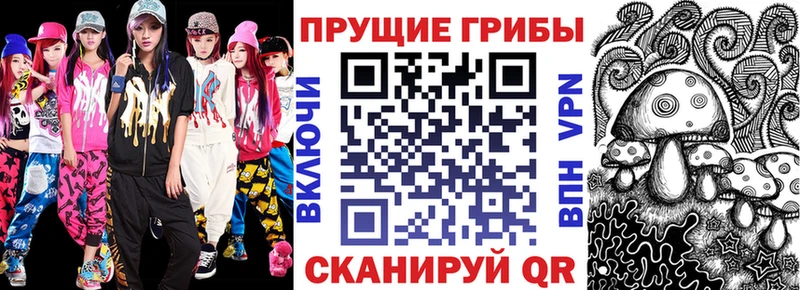Галлюциногенные грибы Psilocybine cubensis блэк спрут ССЫЛКА Нея закладка